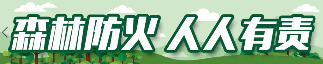 641.webp.jpg 641.webp.jpg