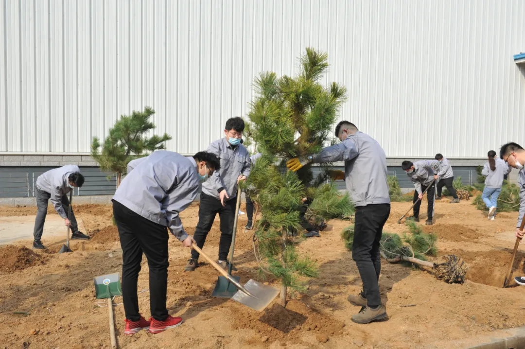 651.webp.jpg 651.webp.jpg