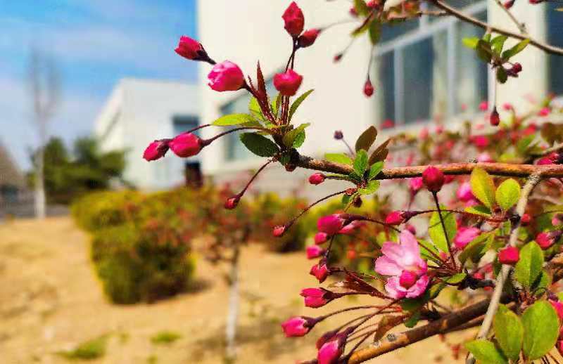  E316 죬Ļ֦һأС졣طĪ£ҽִ硣.jpg