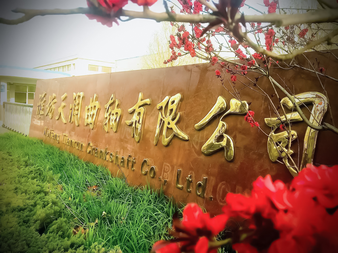 Ϋŵ88վ޹˾  ˵ Ϋŵ88վ һĨȻɫ һ׳ĺɫ һϰഺɫ ŵ88վ棬սʤʱ ϳĻϣڼ Ը߰ƴţΫŵ88վĴ졣.jpg